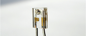 m81-applications-4 m81-applications-4